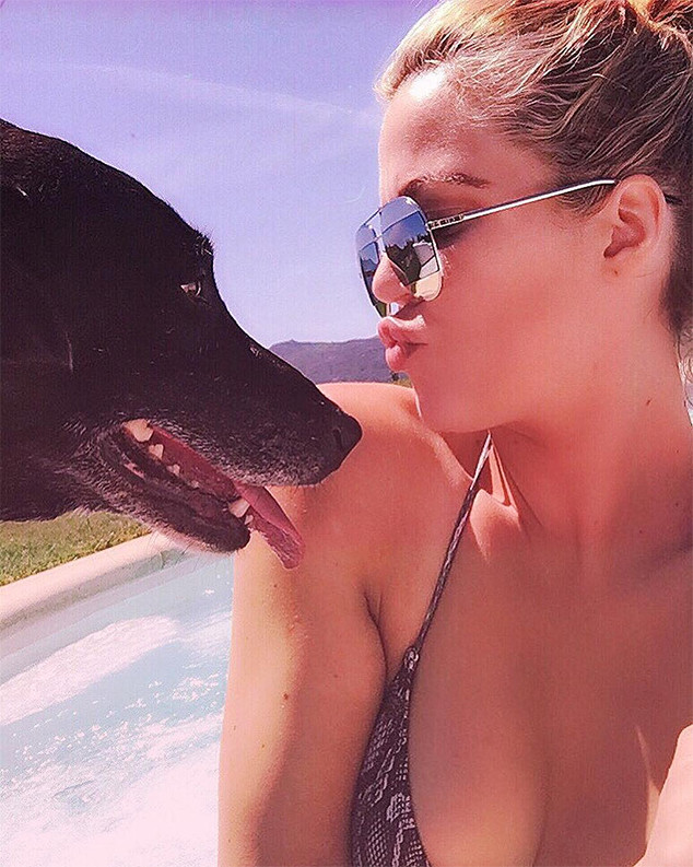 Khloe Kardashian, Dog, Gabbana, Deceased Khloe Kardashian, Dog, Gabbana, Deceased